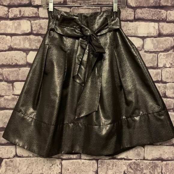 Express Dresses & Skirts - Express Design Studio Special Occasion Skirt